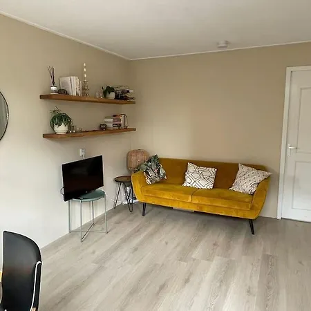 公寓 Charming And Cozy Apartment! 阿姆斯特丹