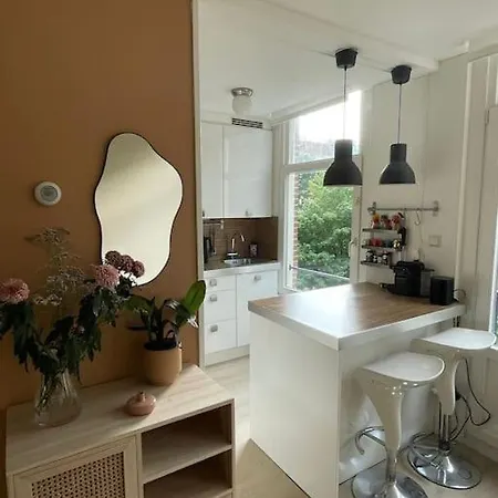 Charming And Cozy Apartment! 公寓 阿姆斯特丹